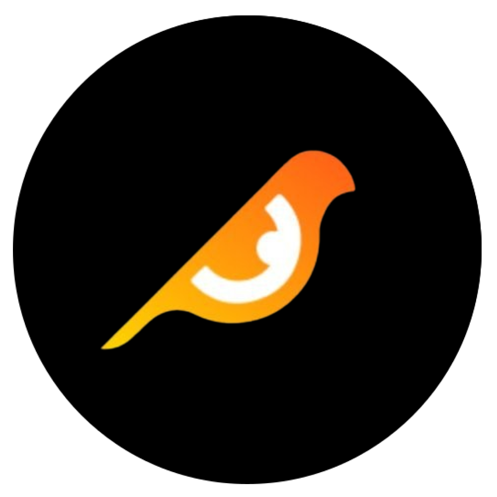 Birdeye Icon